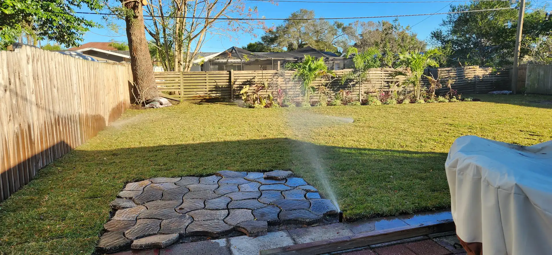 Sprinkler head spraying a freshly laid lawn in a fenced backyard